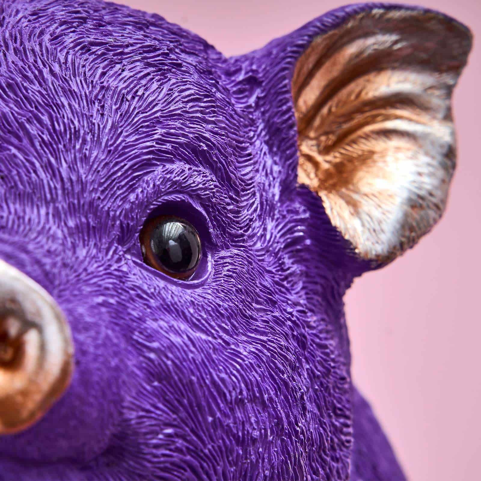 Tirelire cochon, violet