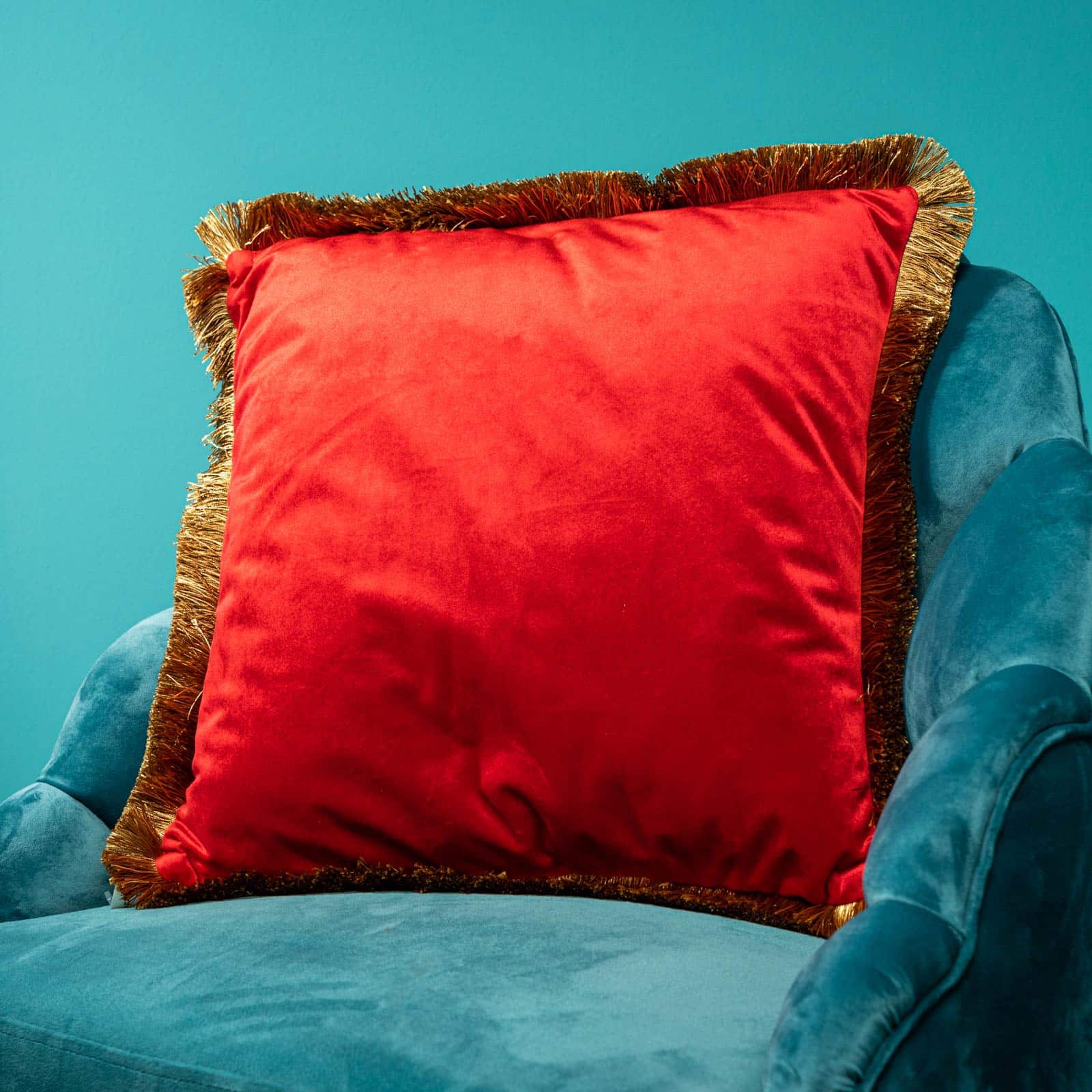 Velvet cushion