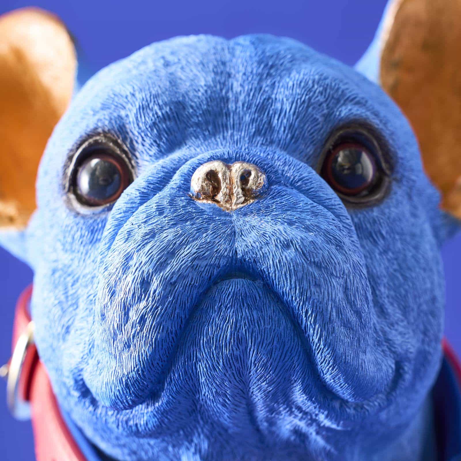 Dekofigur Hund, French Bulldog Molly m. Halsband, blau-orange