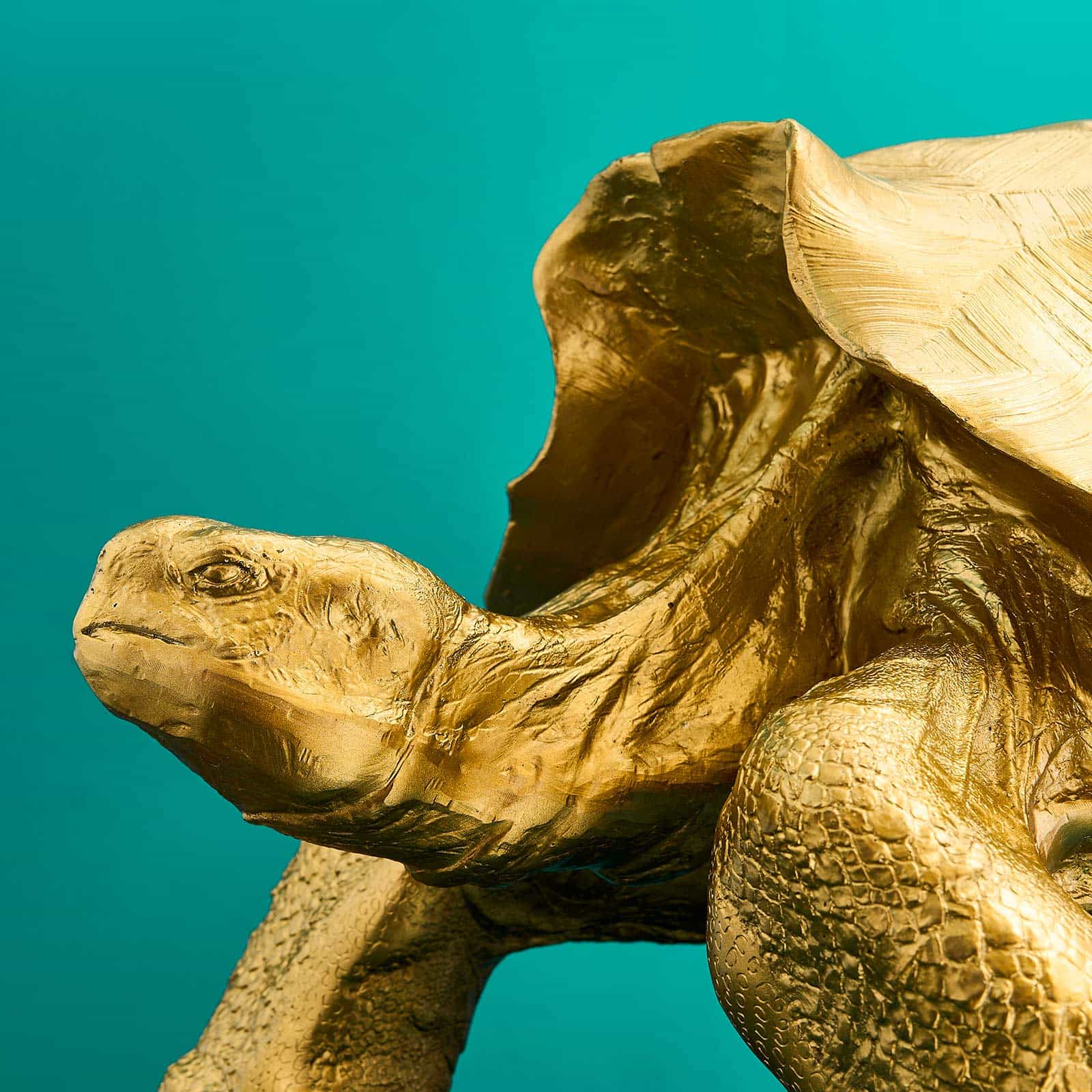 Dekoobjekt /Dekofigur Schildkröte Stormy, gold, Polyresin, 56x36x33 cm