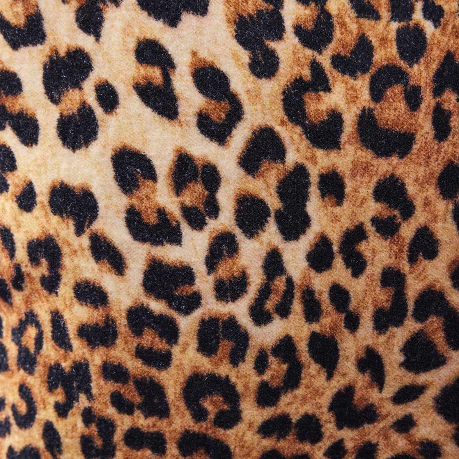 Pude med leopardmotiv Jungle Love, flerfarvet Pude med leopardmotiv Jungle Love, flerfarvet