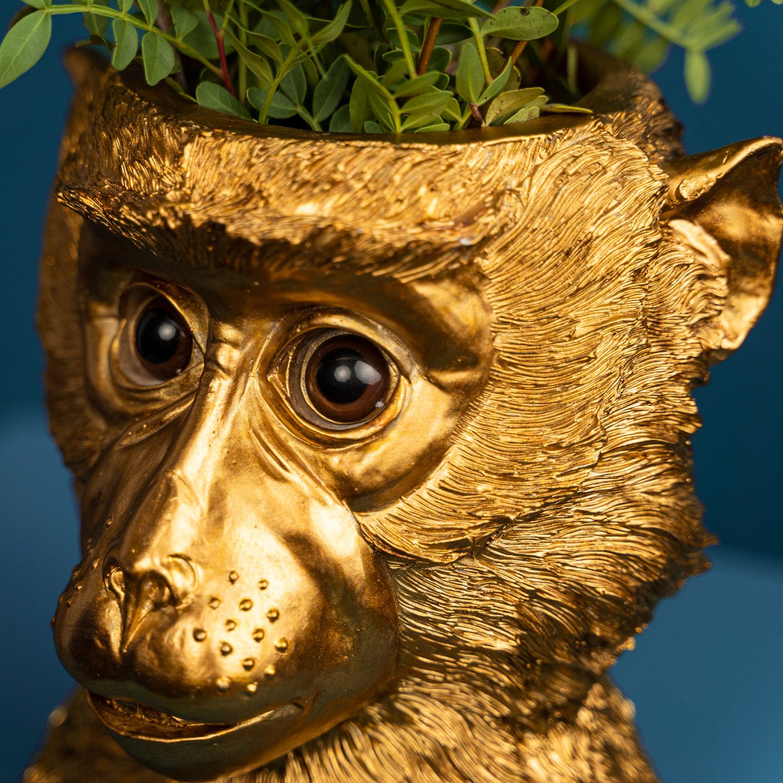 Flower pot monkey Bruce, gold