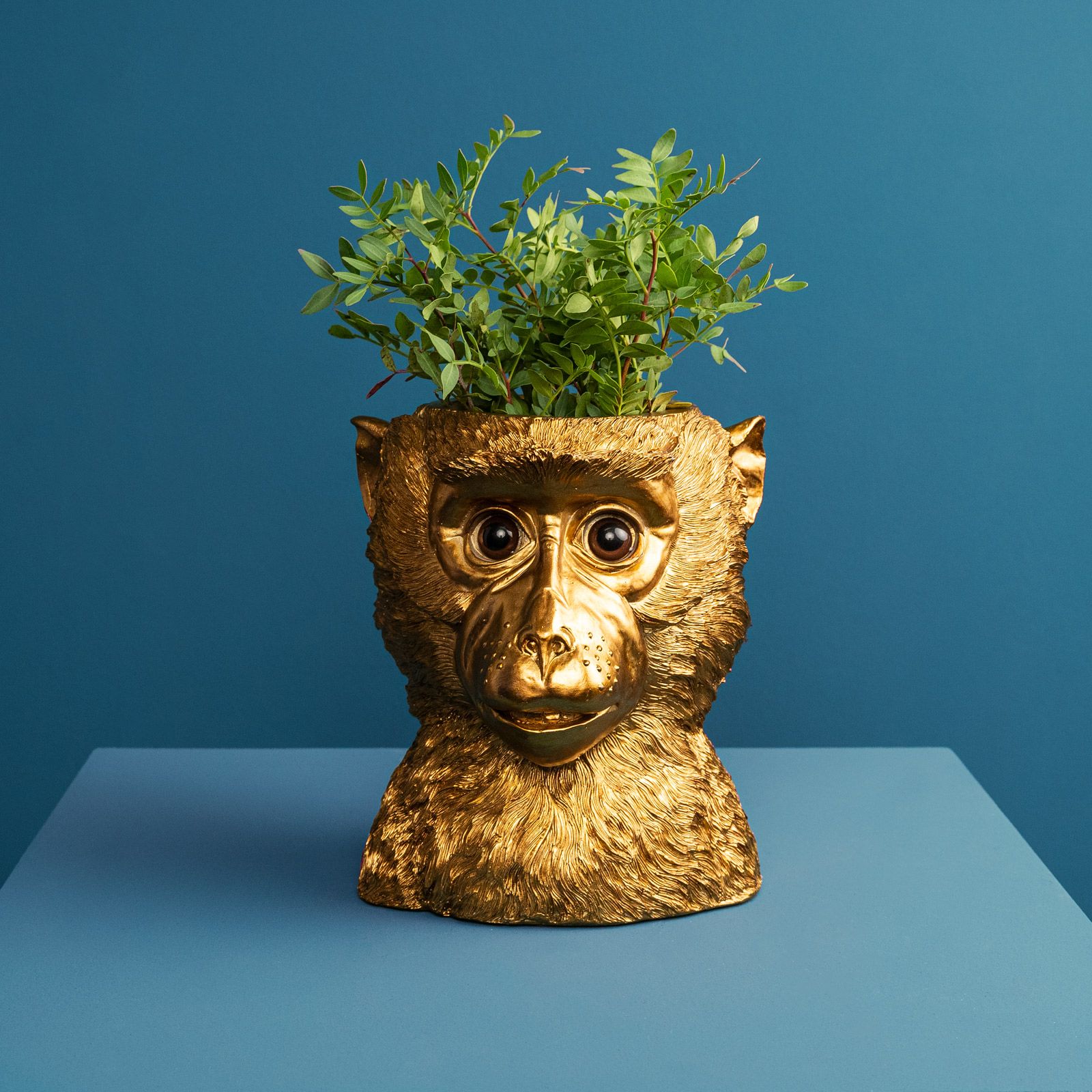 Flower pot monkey Bruce, gold, polyresin, 20x20x23 cm
