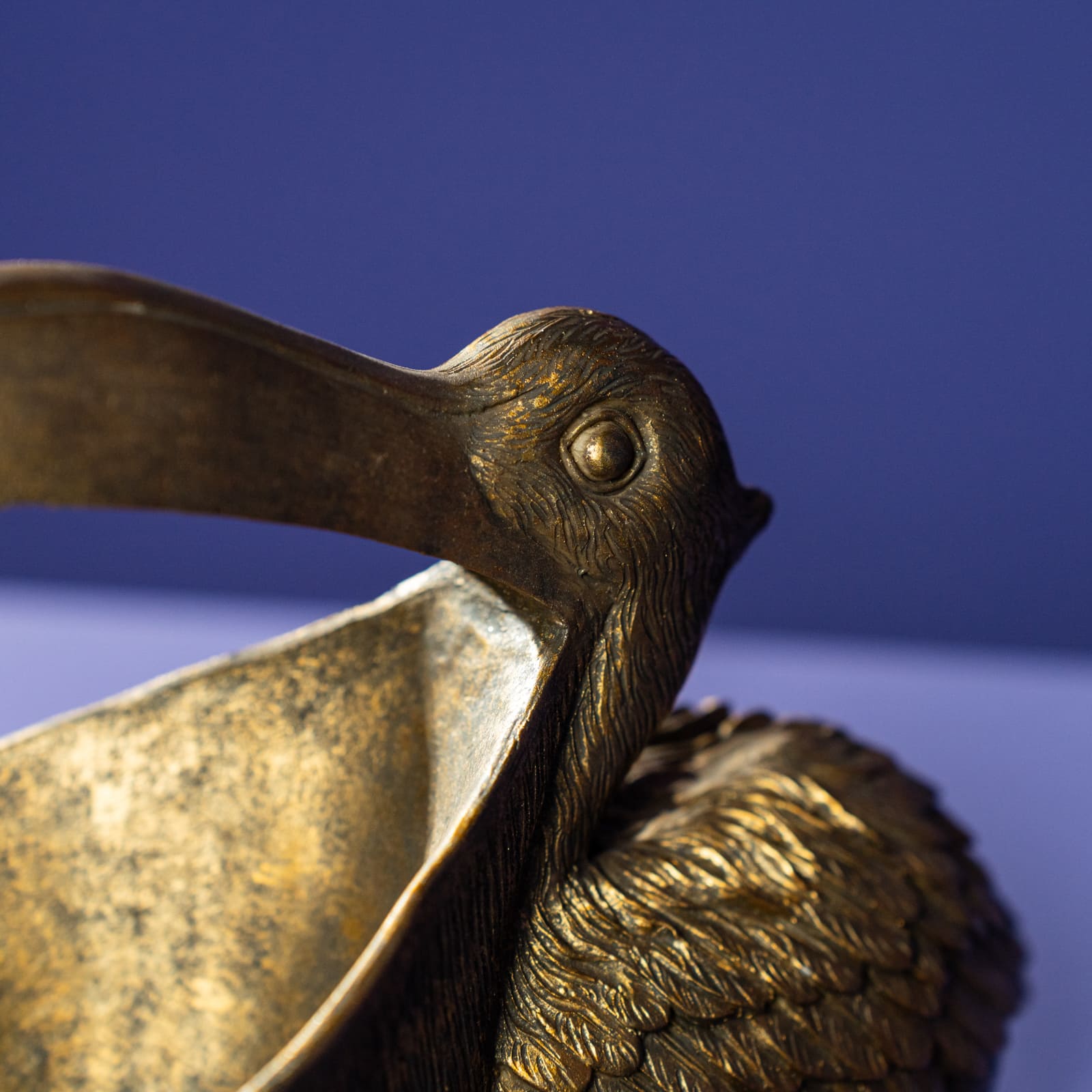 Bowl Pelican