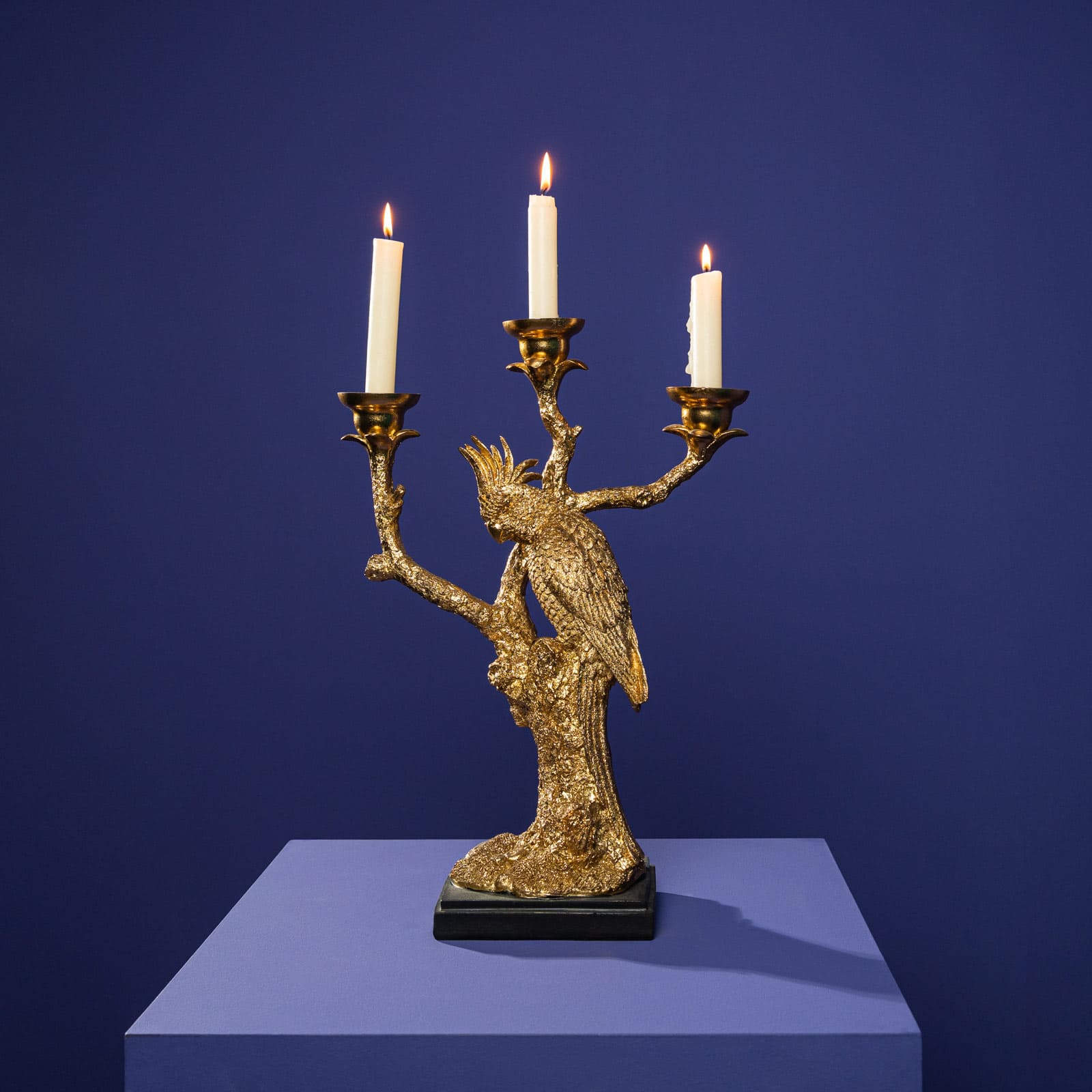 Loro candelabro, dorado