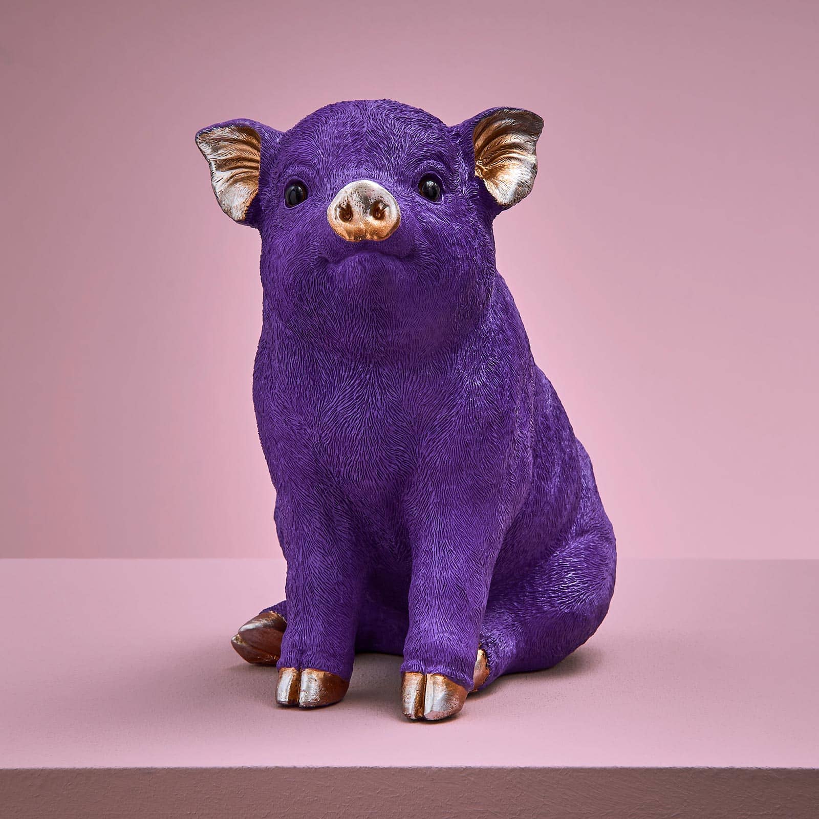 Tirelire cochon, violet