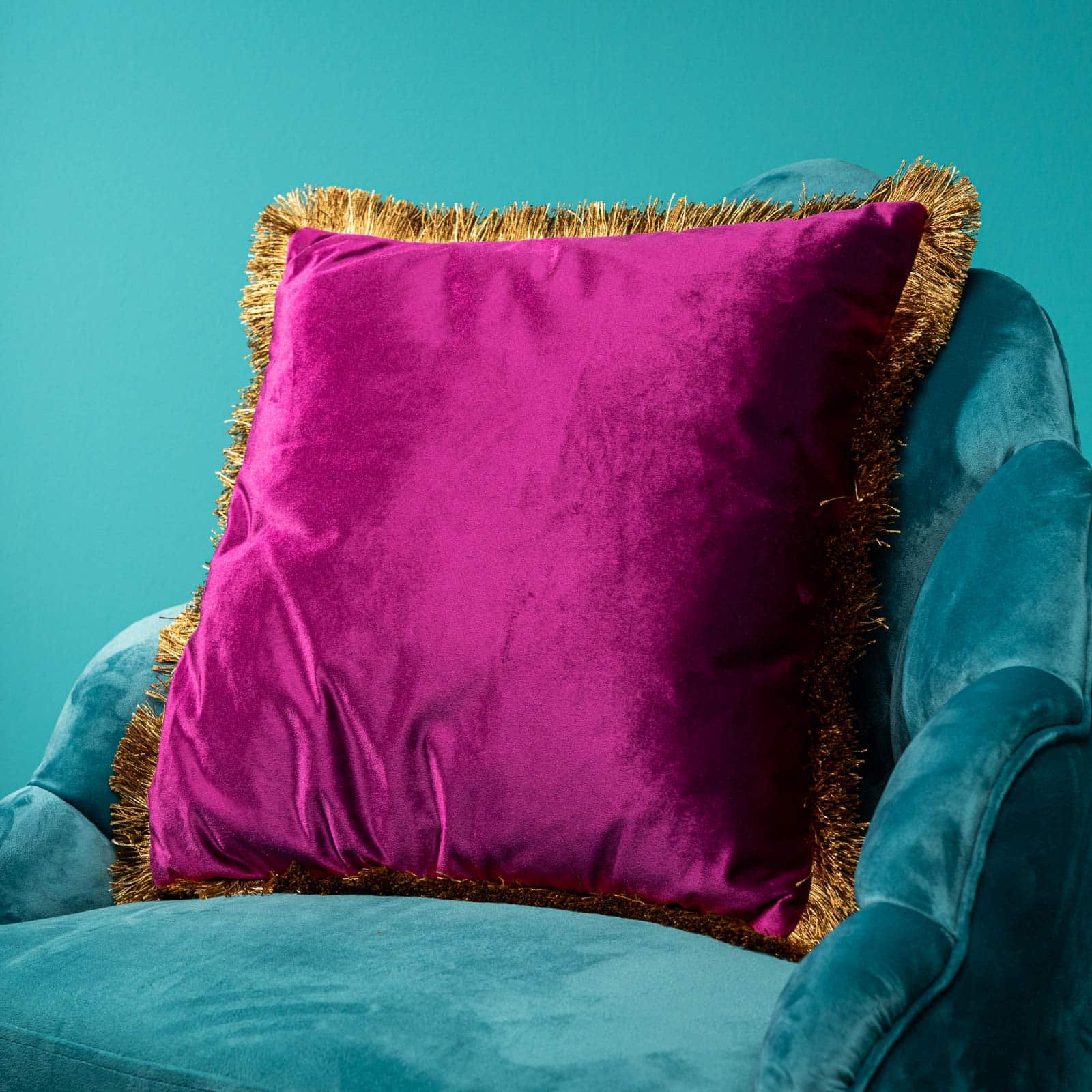 Velvet Cushion