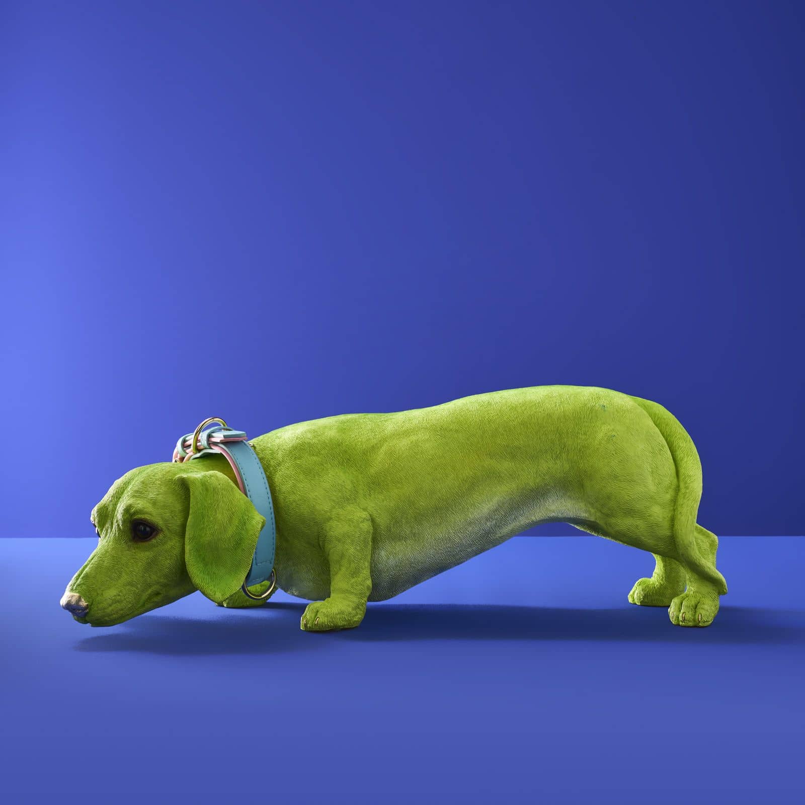 Dekofigur Hund, Dackel m. Halsband Wilfried, grün