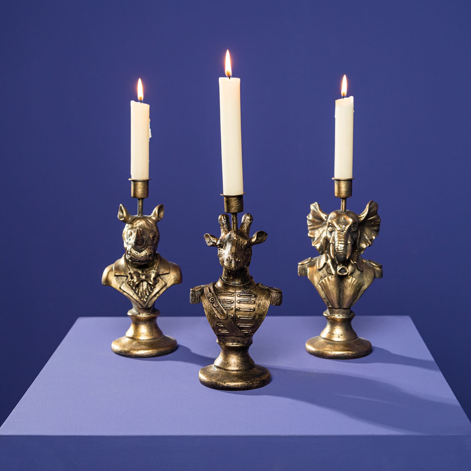 Set of 3 candle holder Animal General 