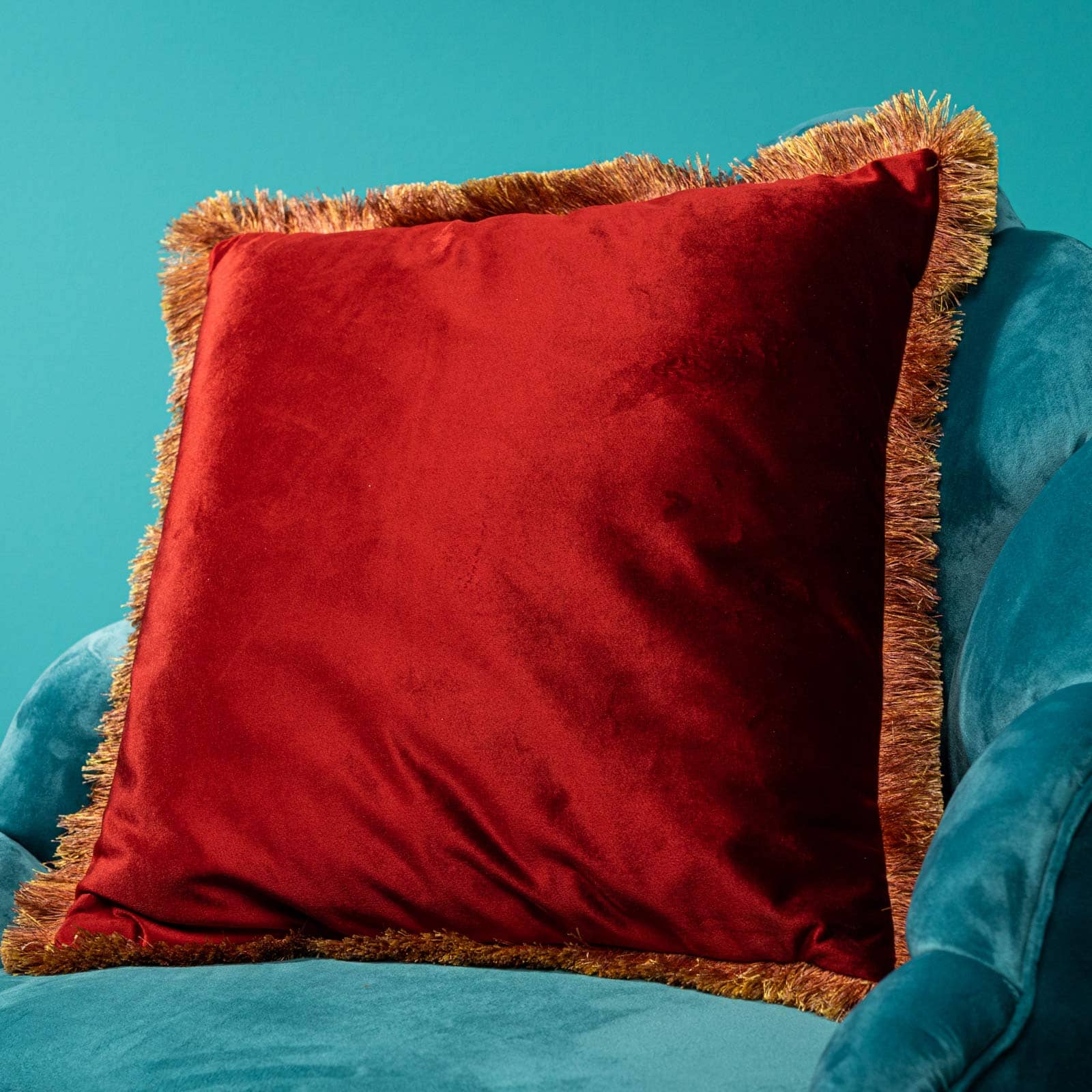Velvet Cushion 