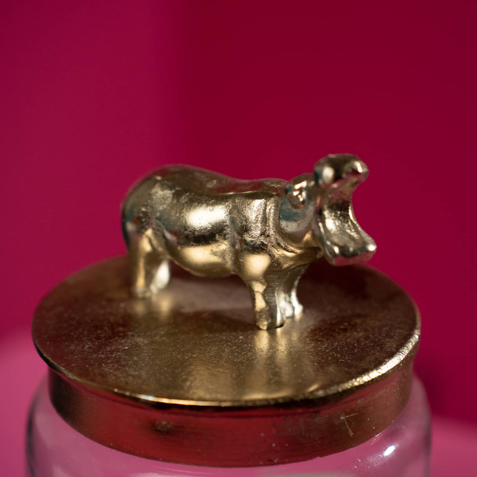 Deko Dose Nilpferd, Hippo, klar-gold, Glas/Aluminium, 12x12x21 cm 